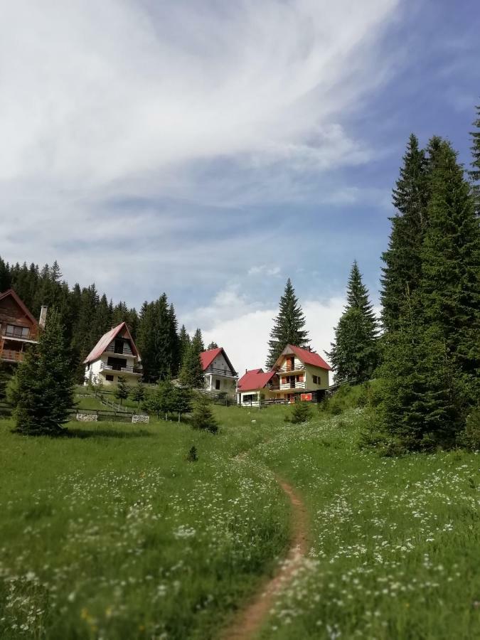 Apartment Vujisic Žabljak Esterno foto